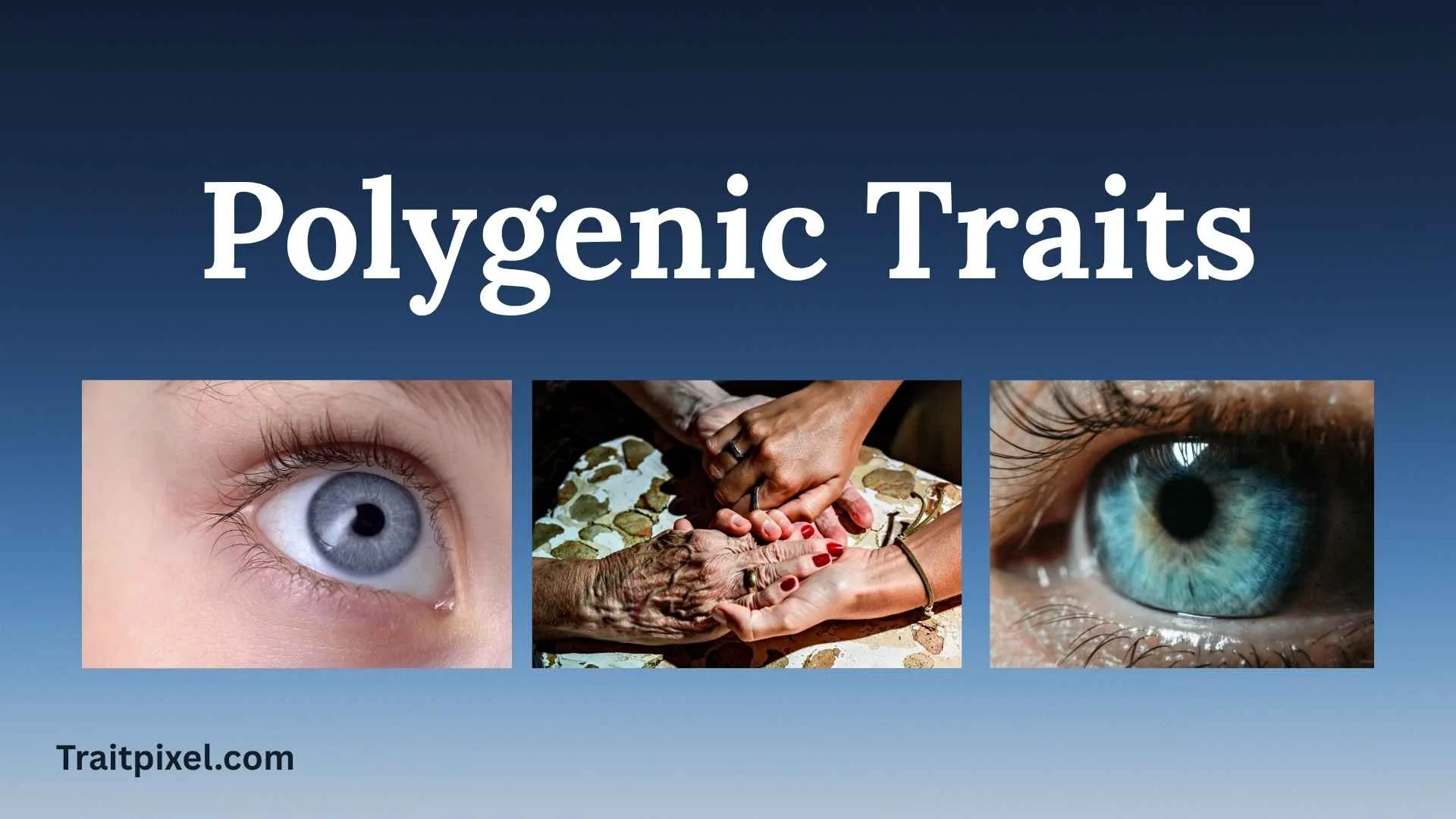 polygenic traits