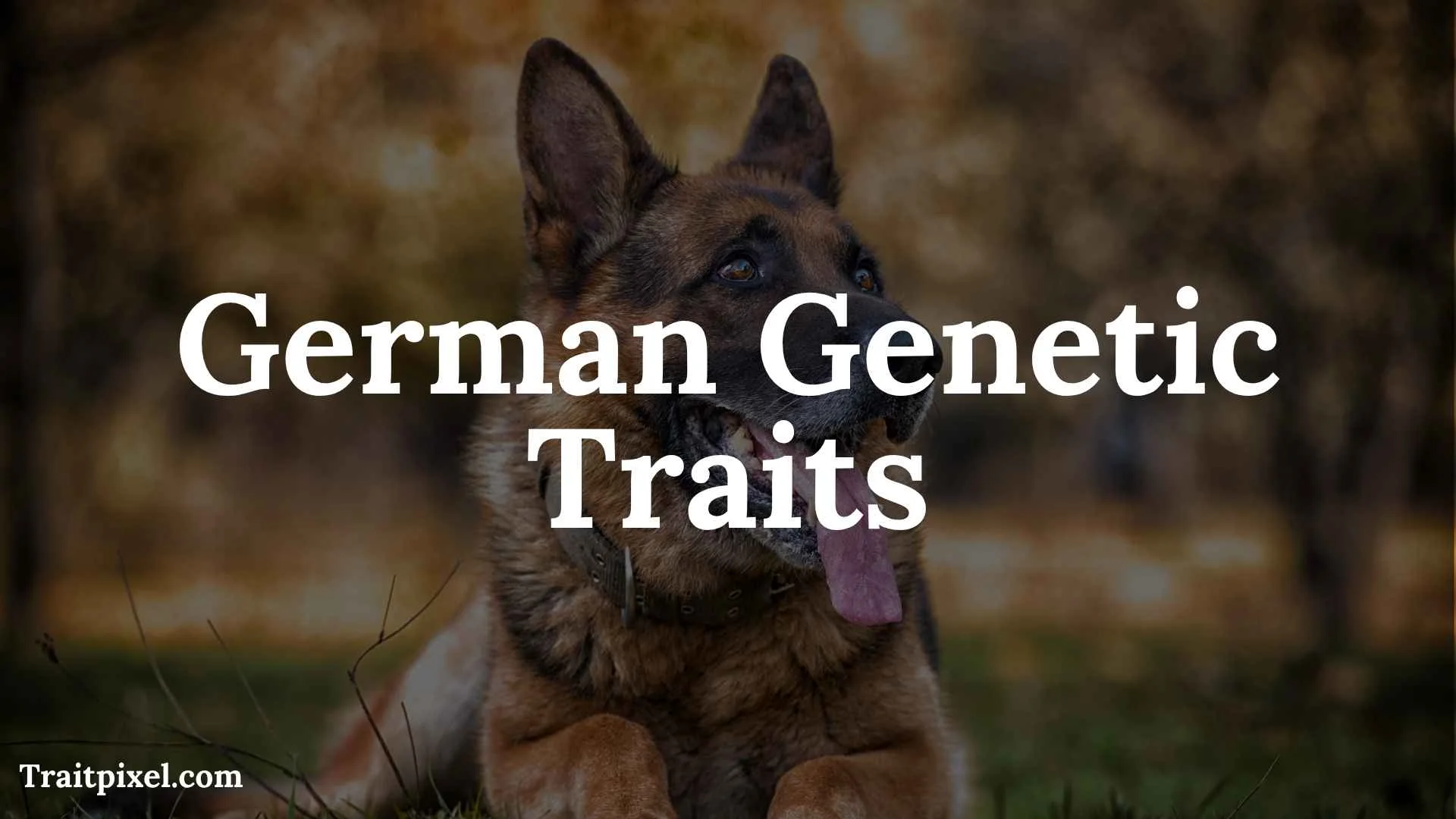 German Genetic Traits: What Genetics Can and Cannot Tell Us About German Ancestry