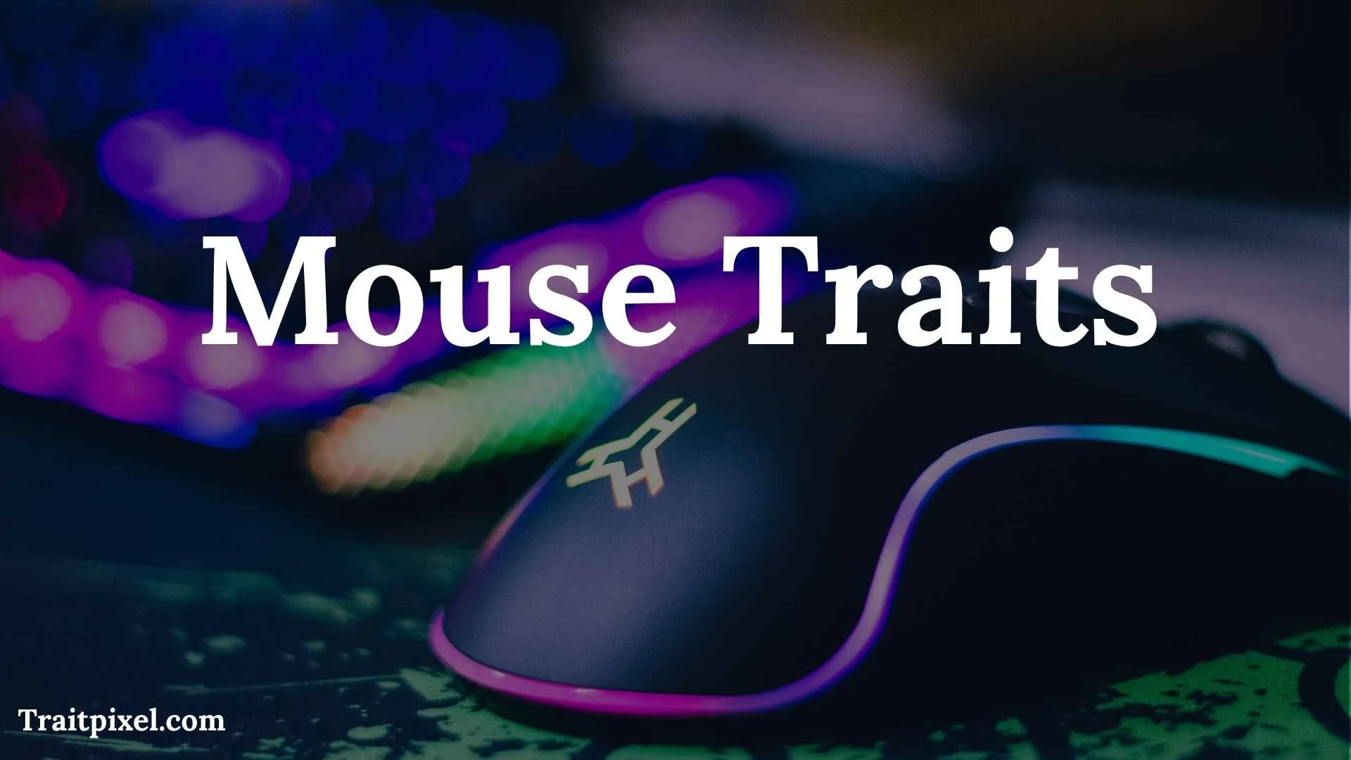 Mouse Traits: Physical, Behavioral, Personality, and Survival Characteristics