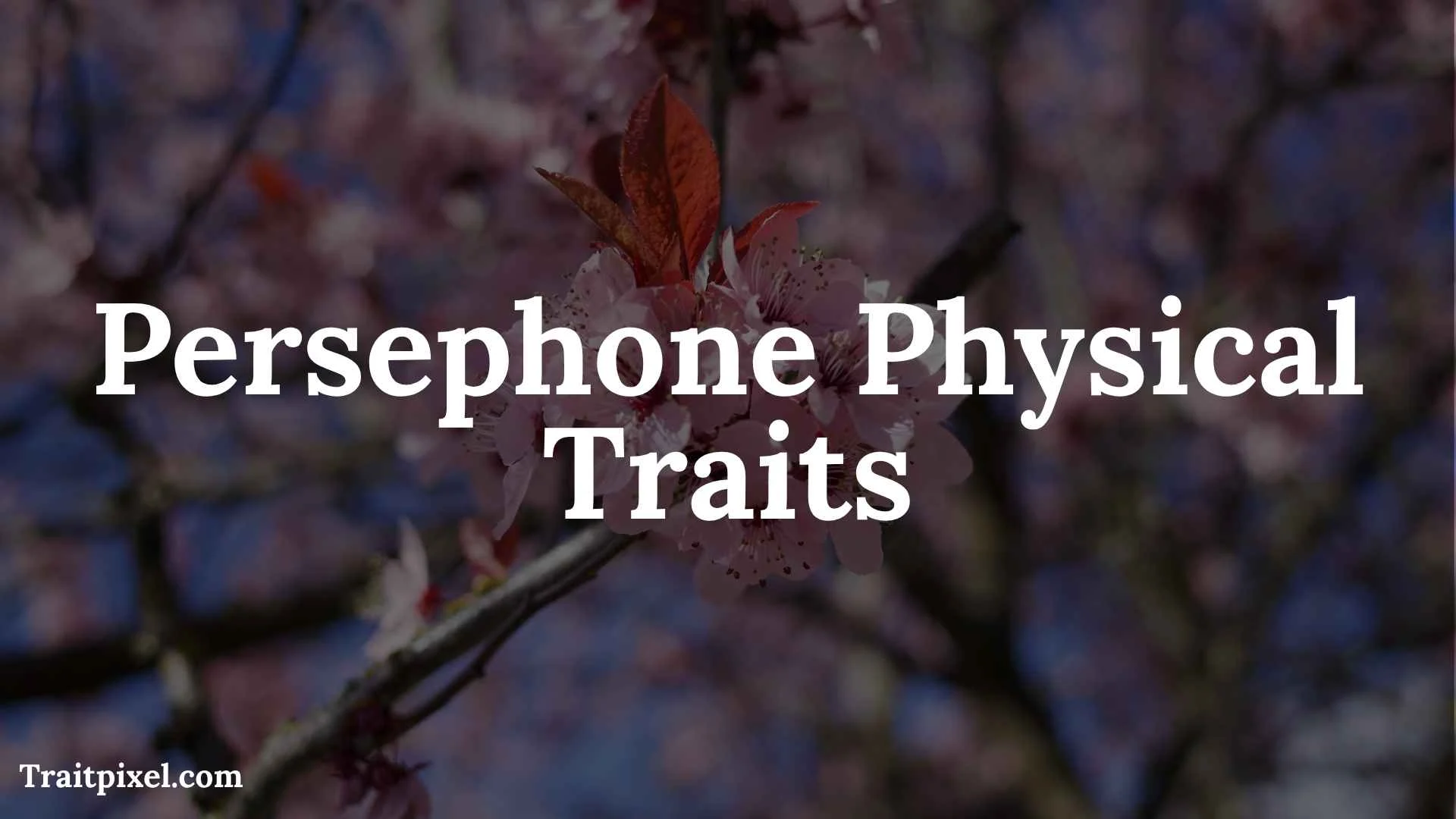 persephone physical traits