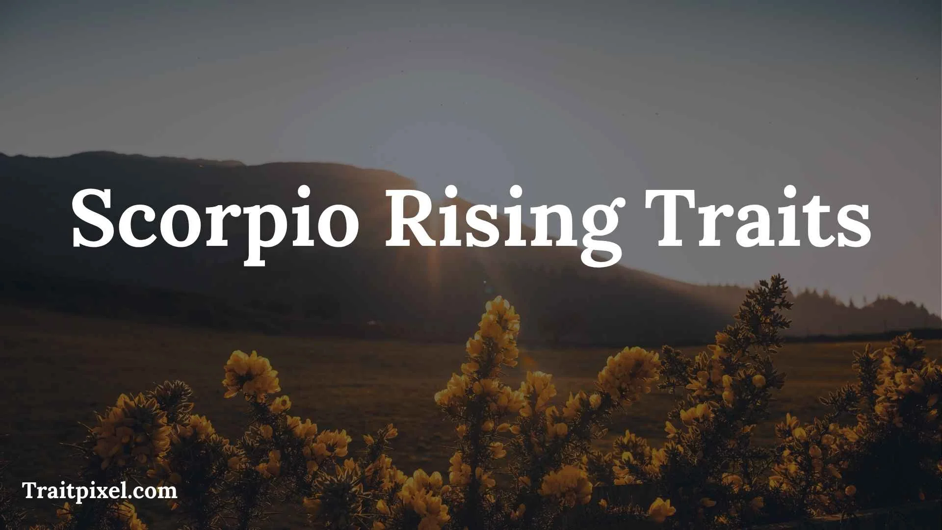 Scorpio Rising Traits: Personality, Appearance, Strengths, Weaknesses, and Relationships