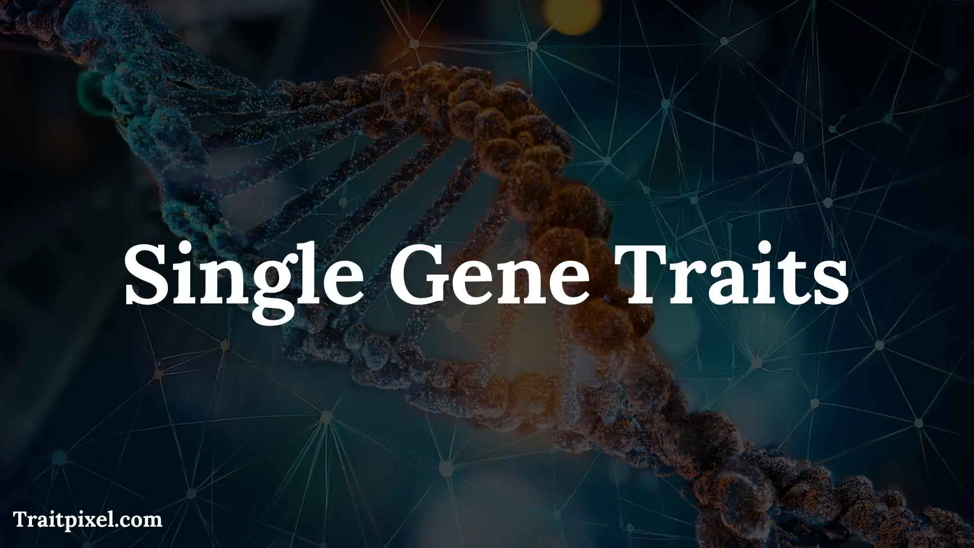 single gene traits